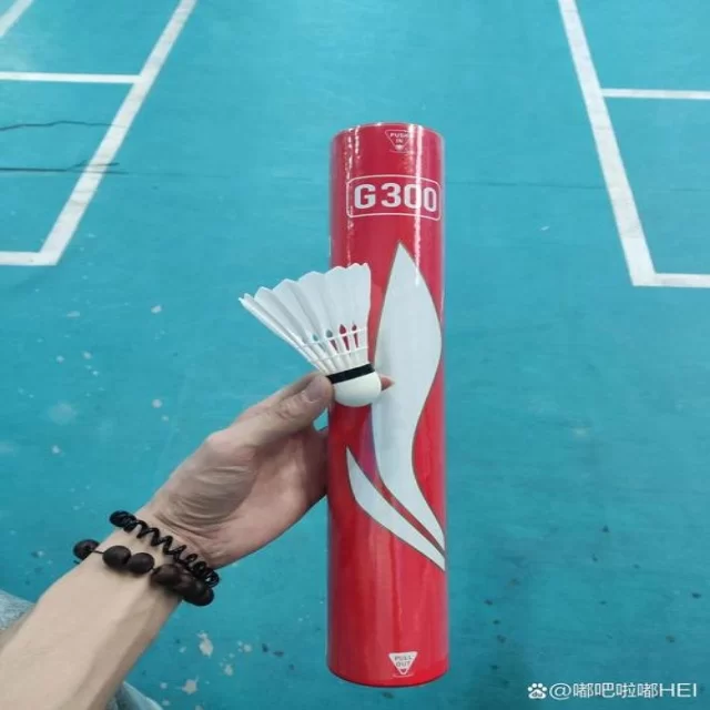 体育资讯热潮中的球迷关注点与媒体讨论焦点解析